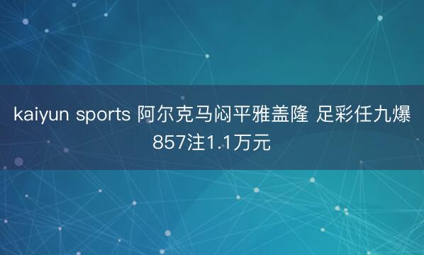 kaiyun sports 阿尔克马闷平雅盖隆 足彩任九爆857注1.1万元